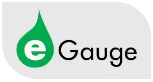 Distribuidor oficial de sistemas eGauge